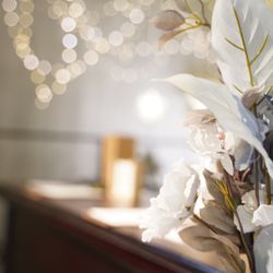 パラッツォ ドゥカーレ 麻布の写真8枚目