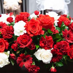 カノビアーノ 福岡の写真36枚目