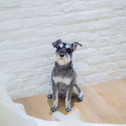 八芳園の写真36枚目