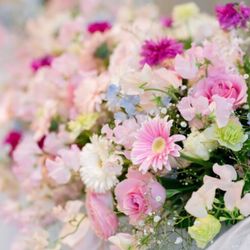 ザ・ロイヤルクラシック福岡の写真6枚目