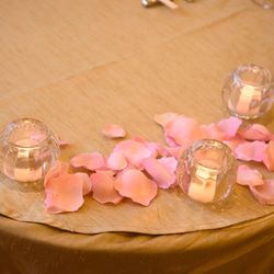 エスプリ・ド・ナチュールの写真20枚目