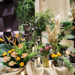 シエル べル テールの写真18枚目