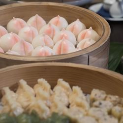 ルーキスの写真33枚目