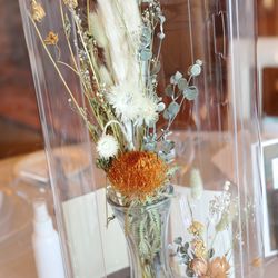 マウロ・アネーラの写真16枚目