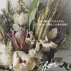 フェリーチェガーデン日比谷の写真31枚目