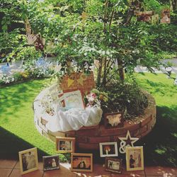 アニヴェルセル 豊洲の写真32枚目