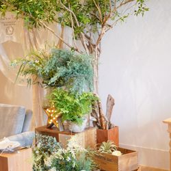 ____rm__trunkweddingさんの披露宴・挙式カバー写真