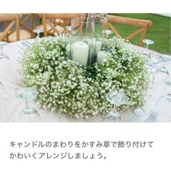 ザ・ミーツ マリーナテラスの写真26枚目