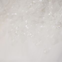 メゾン プルミエールの写真27枚目