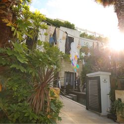 表参道TERRACEの写真6枚目