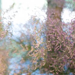 ザ・ガーデンオリエンタル大阪の写真31枚目