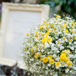 クアンティックの写真8枚目