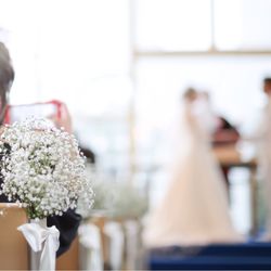 アンジェローブ の写真22枚目