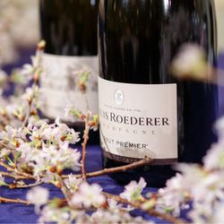 ta_____wdさんの披露宴・挙式カバー写真