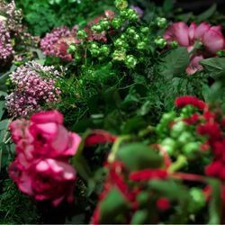 グランド ハイアット 東京の写真33枚目