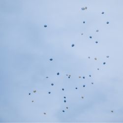 アートグレイス・ウエディングコースト 大阪の写真26枚目