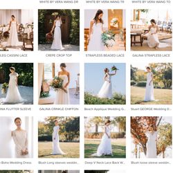 ブルーアステールの写真27枚目