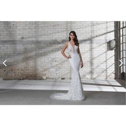 アルジェントの写真7枚目