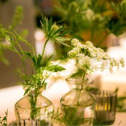 ザ・ルイガンズ スパ&リゾートの写真11枚目