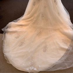 ドレス試着👗@Amtteliebe
繊細なレースと刺繍とビジュー✨