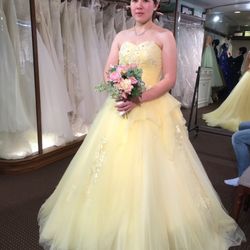 カールトンテラスの写真1枚目