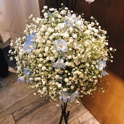 myc_cさんの披露宴・挙式カバー写真