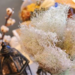 マウロ・アネーラの写真9枚目