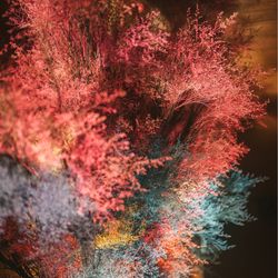 グランド ハイアット 東京の写真19枚目