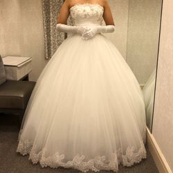 アートグレイス ネクスト アシヤの写真13枚目