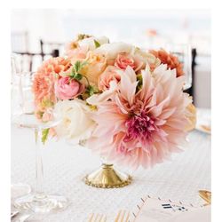 ラシック アンジュールの写真7枚目