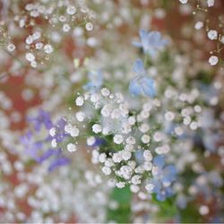 ララシャンス 博多の森の写真8枚目