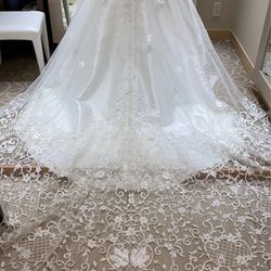 ルーキスの写真26枚目