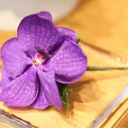 ラ・フェット ひらまつの写真14枚目