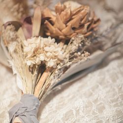 クアンティックの写真15枚目