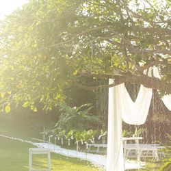 サイレントクラブの写真17枚目