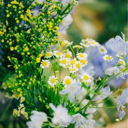 メゾン プルミエールの写真23枚目