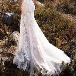 パラッツォ ドゥカーレ 麻布の写真4枚目