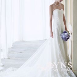 ブルーアステールの写真21枚目