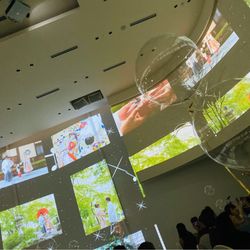 シエル べル テールの写真28枚目