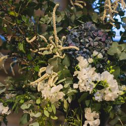 赤坂プリンス クラシックハウスの写真34枚目