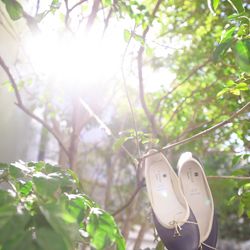 リビエラ青山の写真14枚目