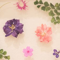 メゾン プルミエールの写真32枚目