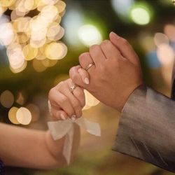 ❁ガーデンshot❁