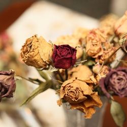 ドリーマーベイシャトーの写真34枚目