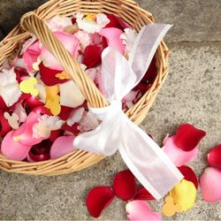 キャメロットヒルズの写真29枚目