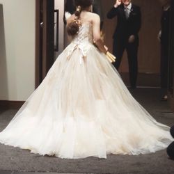 クレアージュ リゾートの写真5枚目