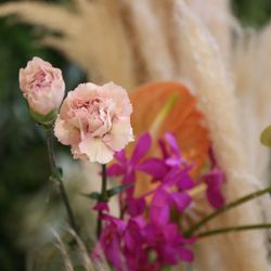 ララシャンスベルアミー 鳥栖の写真18枚目