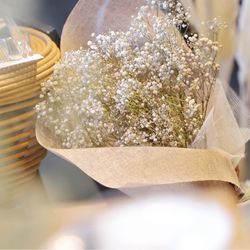 マウロ・アネーラの写真19枚目