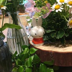 ラシック アンジュールの写真21枚目