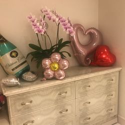 セレス高田馬場 Santa Angeliの写真8枚目